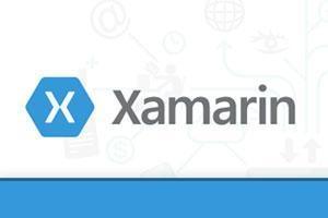 Xamarin pros and cons Xamarin pros and cons